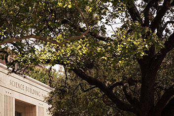 A tree in front of a building. Links to Gifts of Real Estate