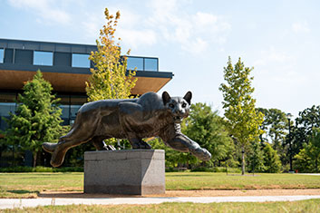 A statue of cougar. Links to Gifts of Appreciated Securities